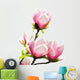 Spring Magnolia Tree Blossoms