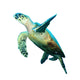 Hawksbill Sea turtle Wall Decal