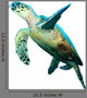 Hawksbill Sea turtle Wall Decal