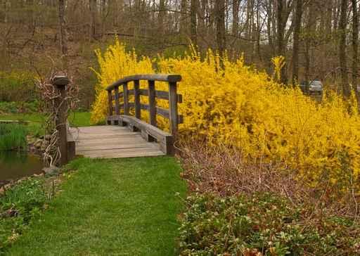Buck Garden New Jersey Wall Decal Design 2