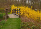 Buck Garden New Jersey Wall Decal Design 2