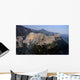 Dentelles Montmirail Wall Decal