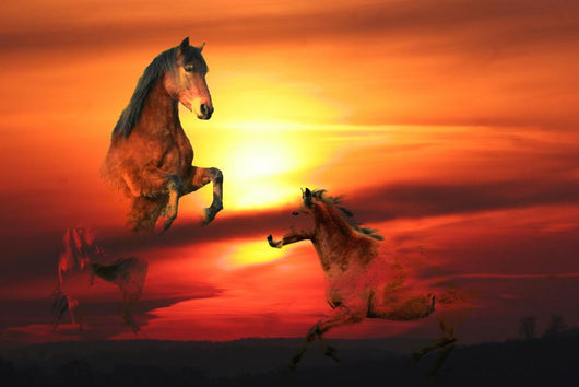 Sunset Wall Decal Design 2