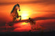 Sunset Wall Decal Design 2