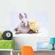 Animal Easter Wall Mural
