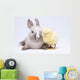 Animal Easter Wall Mural