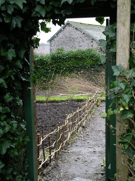 Beatrix Potter Garden