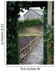 Beatrix Potter Garden