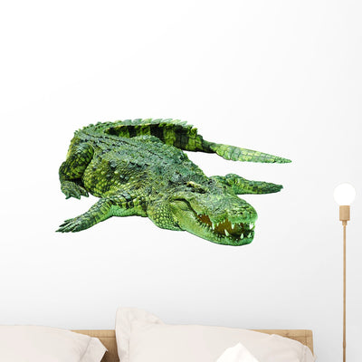 Crocodile Wall Decal shown on a wall