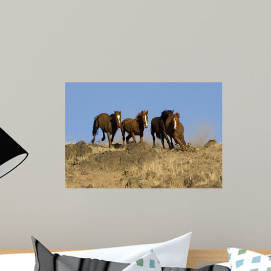 Wild Horses Running down Wall Decal