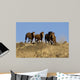 Wild Horses Running down Wall Decal