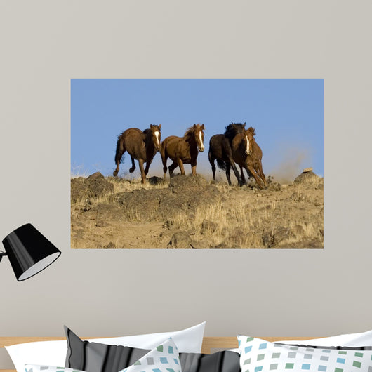 Wild Horses Running down Wall Decal