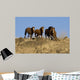 Wild Horses Running down Wall Decal