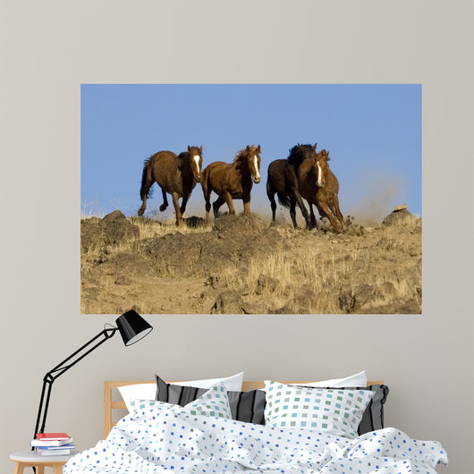 Wild Horses Running down Wall Decal