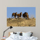 Wild Horses Running down Wall Decal