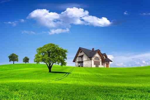 Life Environment Wall Decal