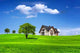 Life Environment Wall Decal