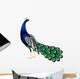 Peacock Vector