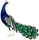 Peacock Vector