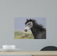 Headshot Beautiful Grey Wild Wall Mural