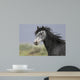 headshot of a beautiful grey wild horse Wall Mural