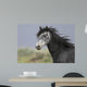 headshot of a beautiful grey wild horse Wall Mural