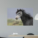 headshot of a beautiful grey wild horse Wall Mural