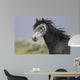 headshot of a beautiful grey wild horse Wall Mural