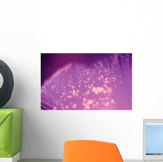 Fiber Optic Lights Wall Mural