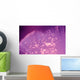 Fiber Optic Lights Wall Mural