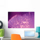 Fiber Optic Lights Wall Mural