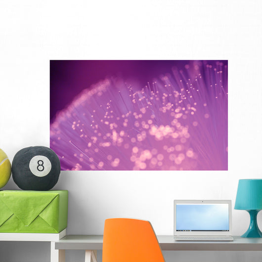 Fiber Optic Lights Wall Mural