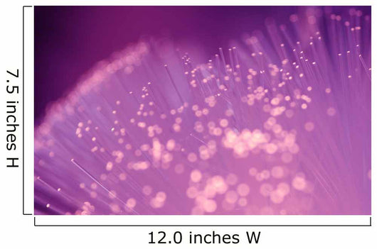 Fiber Optic Lights Wall Mural