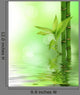 Bamboo Wall Mural