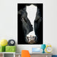 Portrait Cow