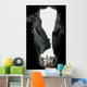 Portrait Cow