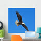 Soon the Eagle Wall Mural