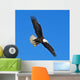 Soon the Eagle Wall Mural