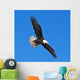Soon the Eagle Wall Mural