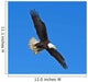 Soon the Eagle Wall Mural