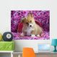 Welsh Corgi Sitting Lavender Wall Mural