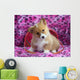Welsh Corgi Sitting Lavender Wall Mural