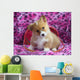 Welsh Corgi Sitting Lavender Wall Mural