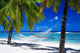 Hammock Between Palm Trees on Tropical Beach Wall Mural