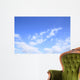 Blue Sky and White