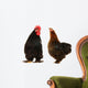 cock and  black hen Wall Decal