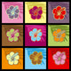 hibiscus Wall Mural