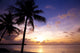 Beautiful Sunset Tropic Beach Wall Mural