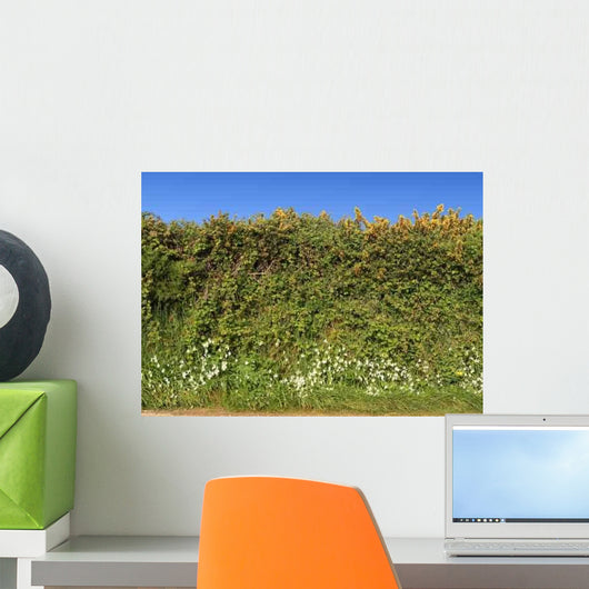 Cornish Roadside Hedge and Wall Decal
