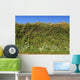 Cornish Roadside Hedge and Wall Decal